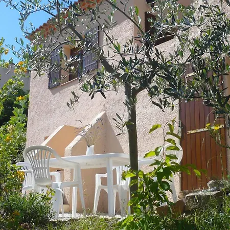 Le Pin D'alep