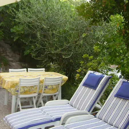 Le Pin D'alep La Madrague